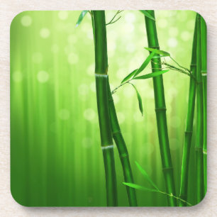 Green Bamboo With Pale Bokeh Lights In The Back Coaster