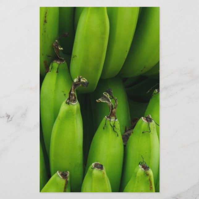 Green banana fruit pattern stationery (Front)