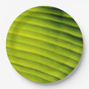 Green Banana leaf texture background Paper Plate