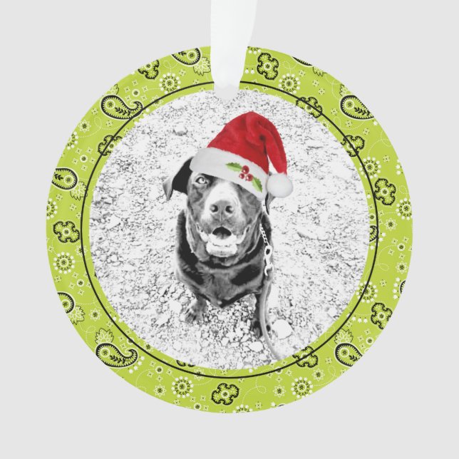 Green Bandana Pet Photo NAME Christmas Fun Ornament (Front)