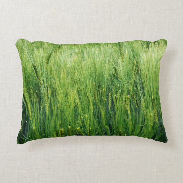 Green barley field, spring closeup. accent pillow (Front)