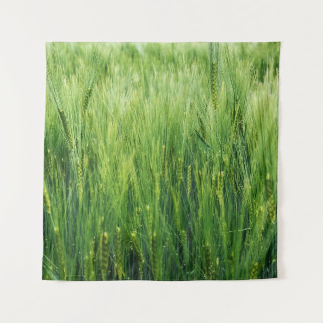 Green barley field, spring closeup. tapestry (Front)