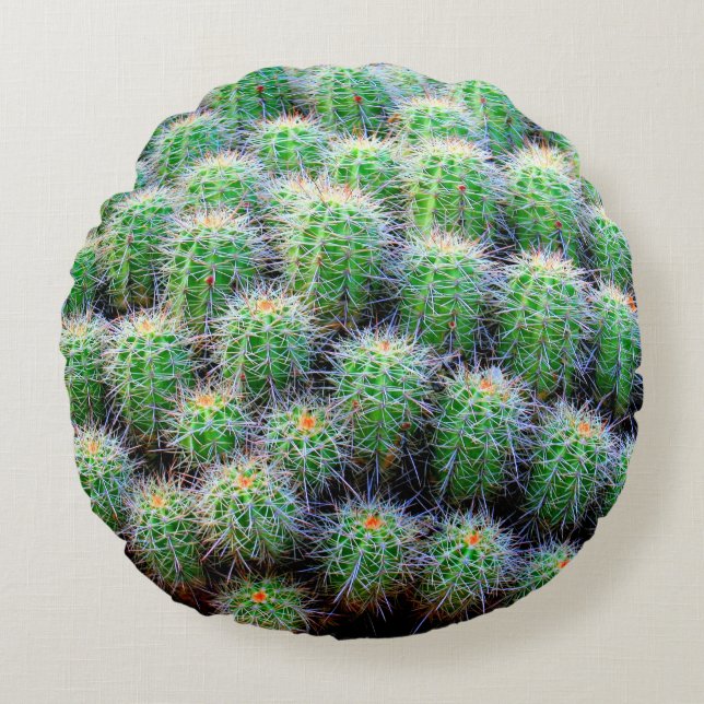 green barrel cactus round pillow (Front)