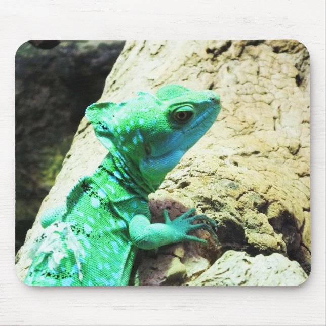 Green basilisk lizard mouse pad (Front)