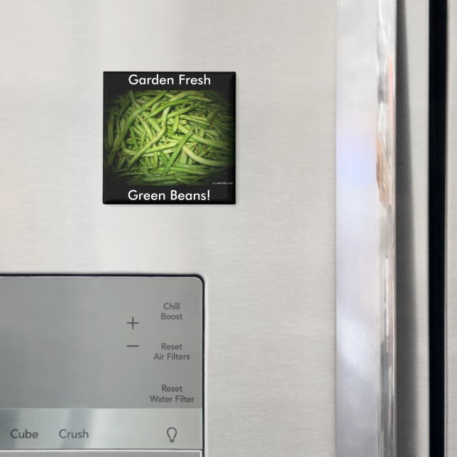 Green Beans in Spotlight Magnet (In Situ (Fridge))