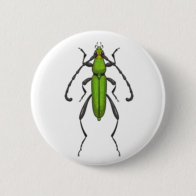 Green beetle 2 inch round button (Front)