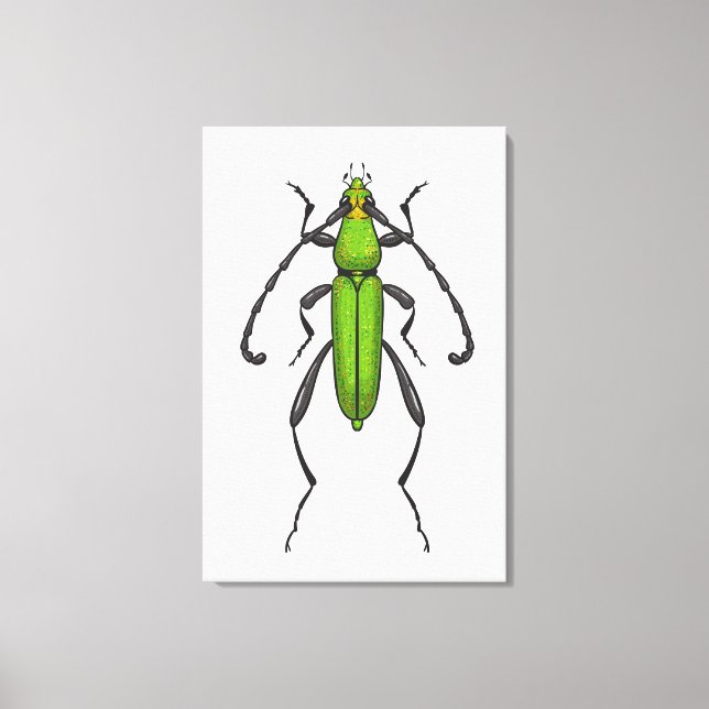 Green beetle canvas print (Front)