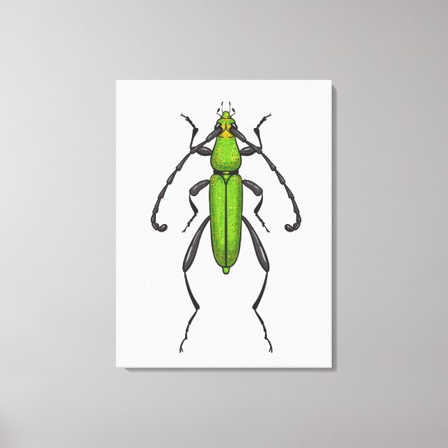 Green beetle canvas print (Front)