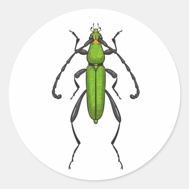 Green beetle classic round sticker (Front)