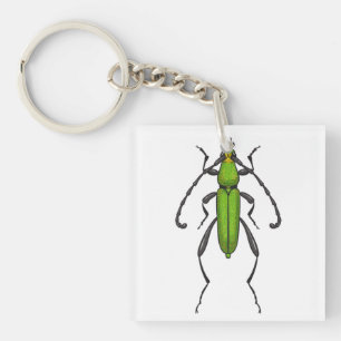 Green beetle keychain