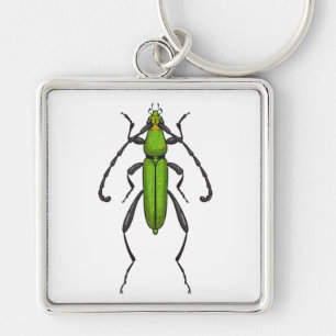 Green beetle keychain