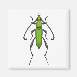 Green beetle magnet