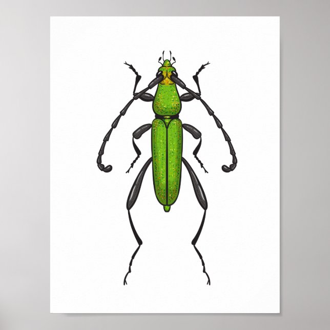 Green beetle poster (Front)