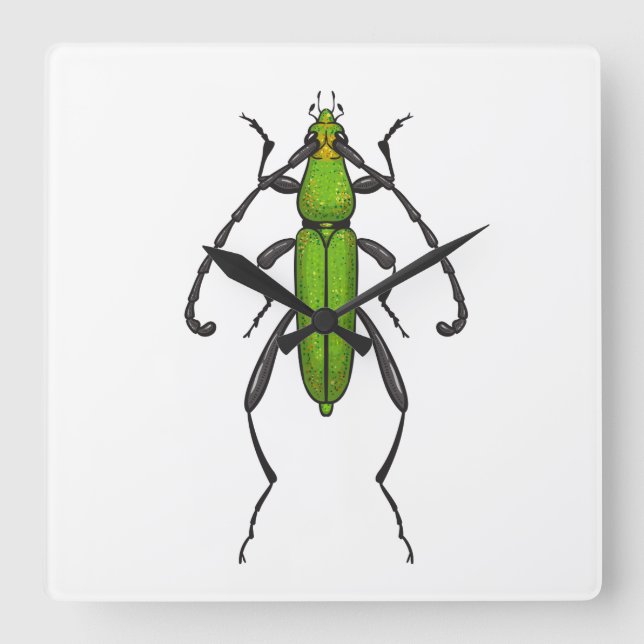Green beetle square wall clock (Front)