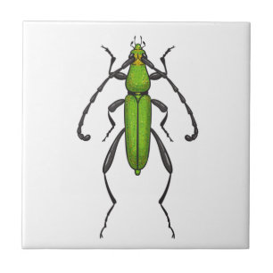 Green beetle tile