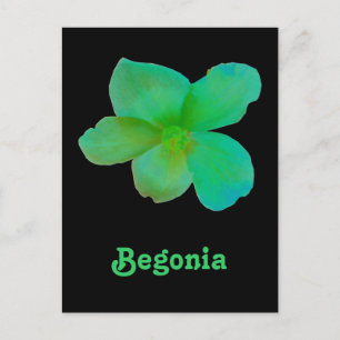 Green Begonia Customizable Postcard