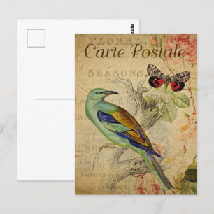 Green Bird & Butterfly Postcard