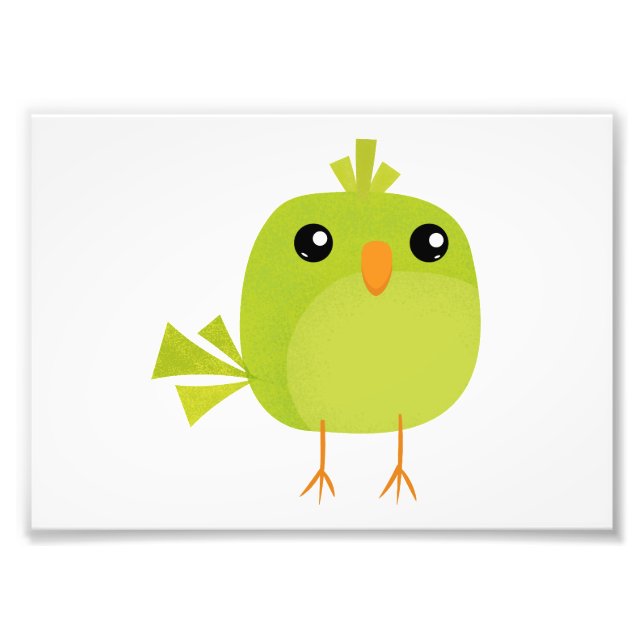 Green Bird Cartoon   Photo Print (Front)