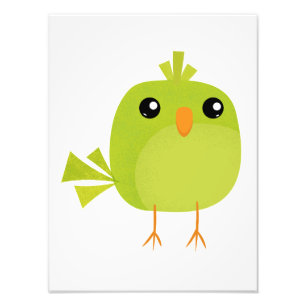 Green Bird Cartoon Photo Print