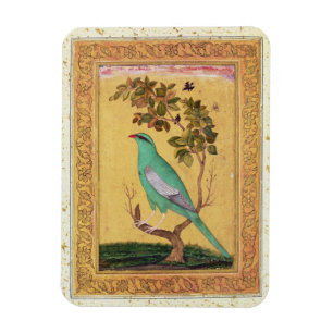 Green Bird, Mughal (gouache on paper) Magnet