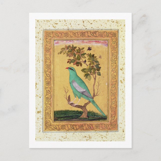 Green Bird, Mughal (gouache on paper) Postcard (Front)
