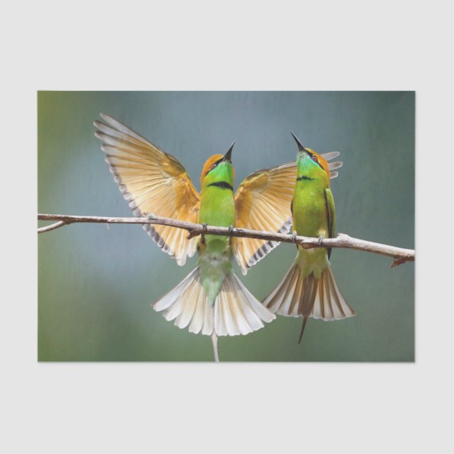 Green Birds Frolic in the Trees Photograph Tissue Paper (Front)