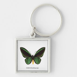 Green Birdwing Butterfly Keychain