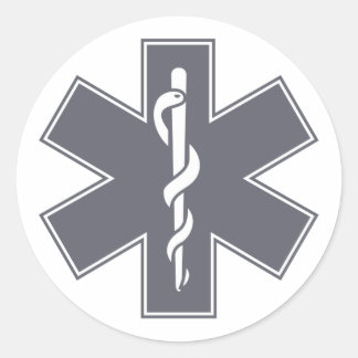 Green Black Grey Purple  Nurse EMS Star of Life Classic Round Sticker