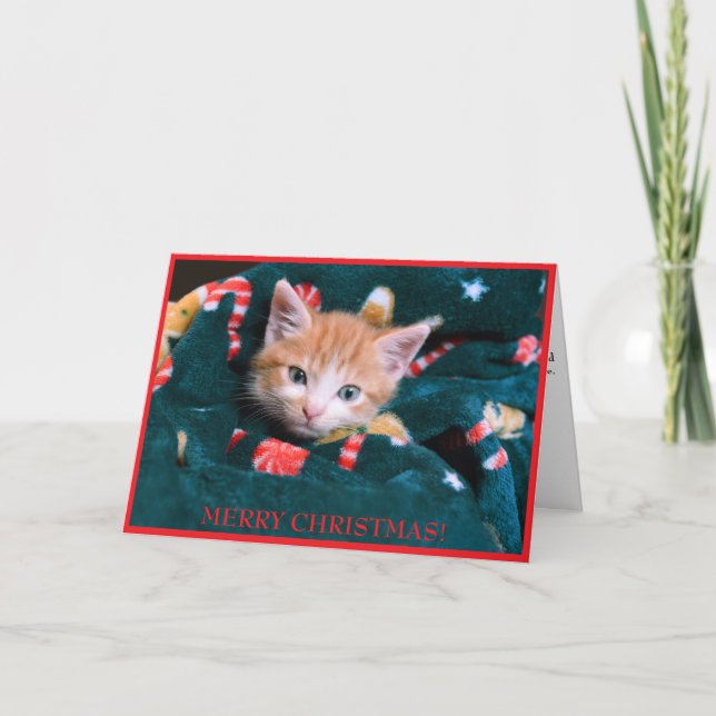 Green Blanket Cat Merry Christmas Orange Kitten  Holiday Card (Front)
