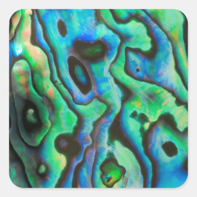 Green blue paua abalone shell square sticker (Front)