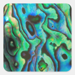 Green blue paua abalone shell square sticker