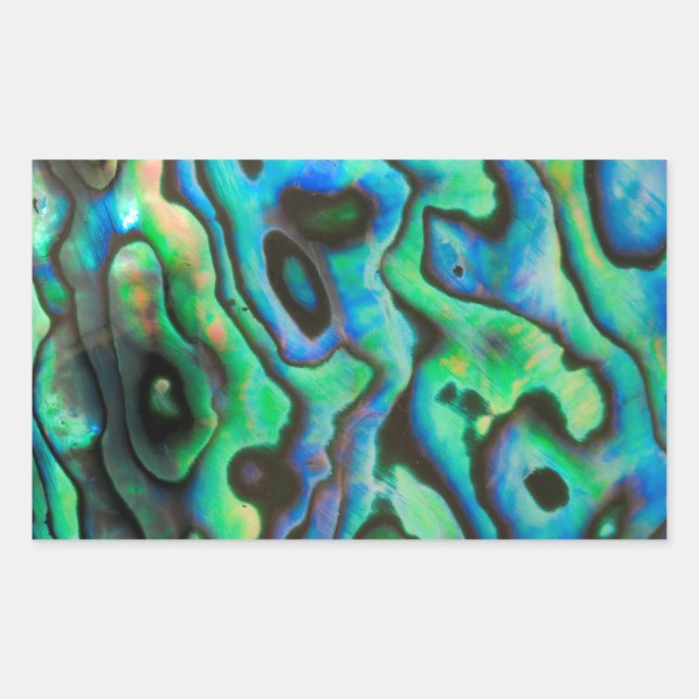 Green blue paua abalone shell sticker (Front)