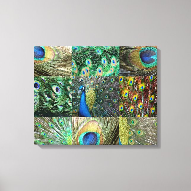 Green Blue Peacock photo collage Canvas Print (Front)