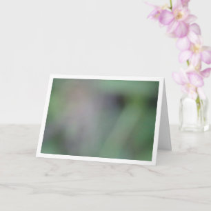 Green Blur Background Card