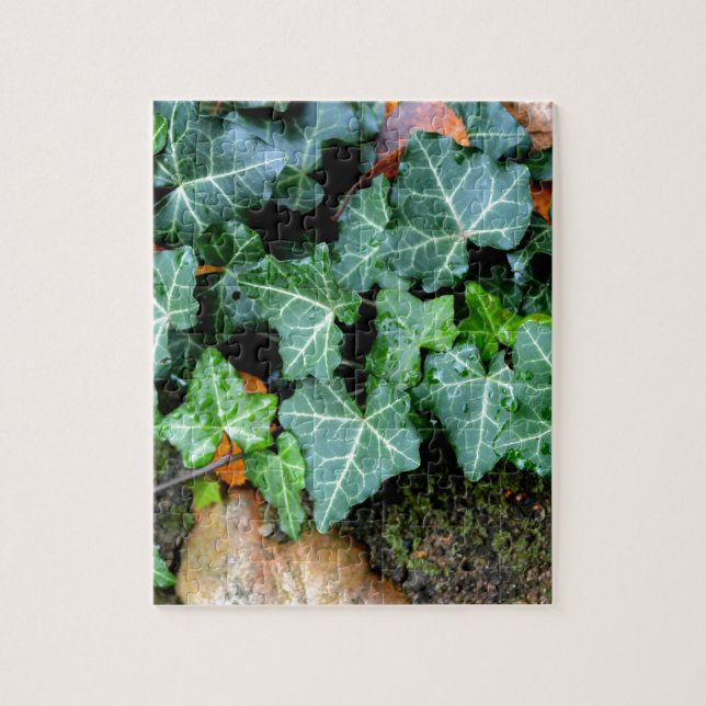 Green botanical Ivy and field stone Jigsaw Puzzle (Vertical)