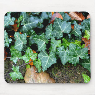 Green botanical Ivy and field stone Mouse Pad