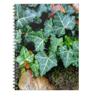 Green botanical Ivy and field stone Notebook