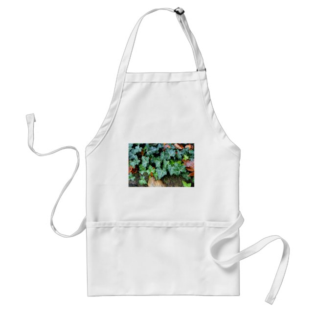 Green botanical Ivy and field stone Standard Apron (Front)