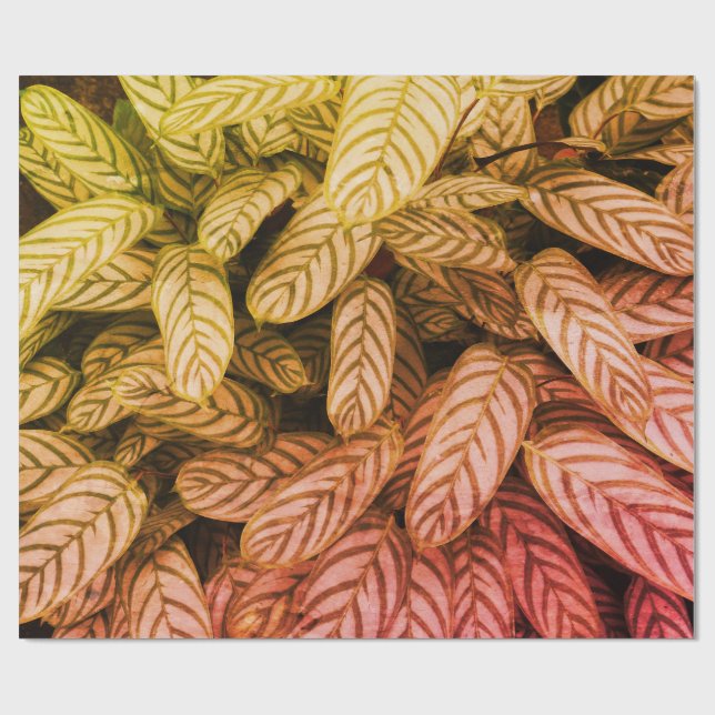 Green Botanical Leaf Pattern Wrapping Paper (Flat)