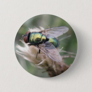 Green Bottle Fly Macro Button