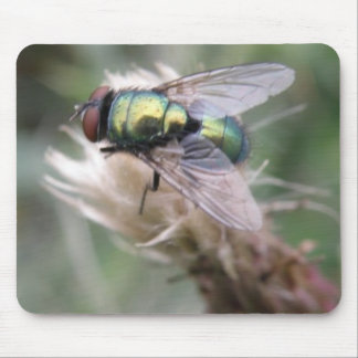 Green Bottle Fly Macro Mousepad