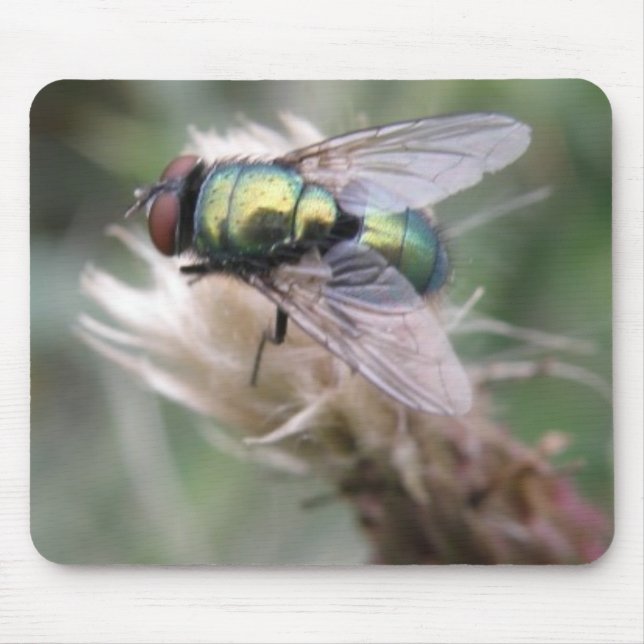 Green Bottle Fly Macro Mousepad (Front)