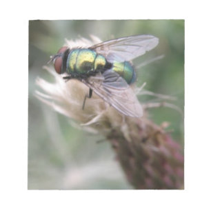 Green Bottle Fly Macro Notepad