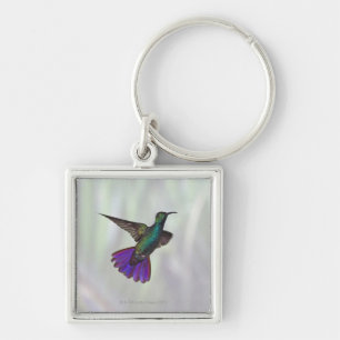 Green-breasted Mango Hummingbird Anthracocorax Keychain