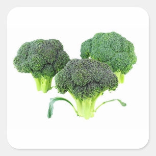 Green Broccoli Crowns on White Square Sticker