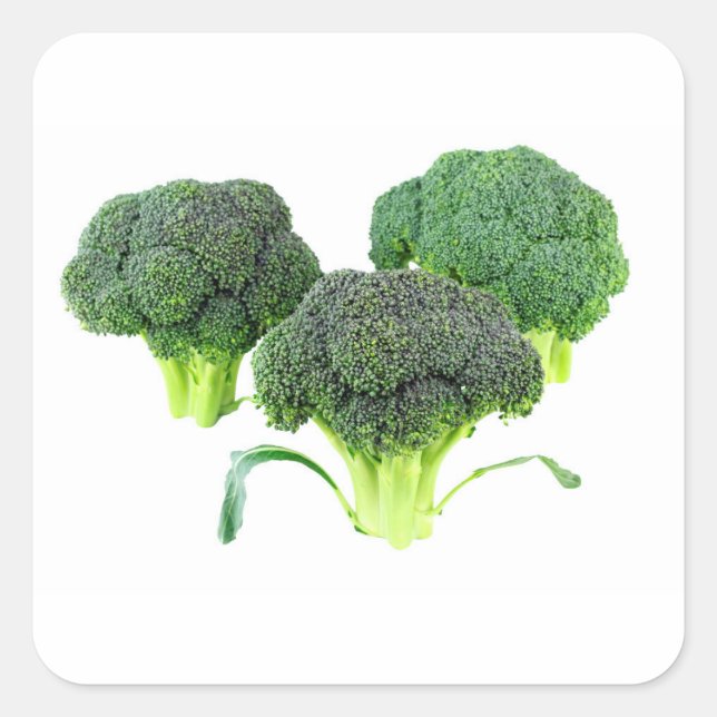 Green Broccoli Crowns on White Square Sticker (Front)