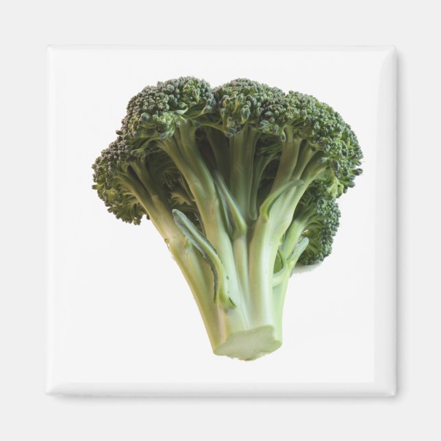 Green Broccoli Invites a Salad on a  Magnet (Front)