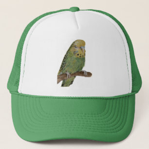 green budgie art cap
