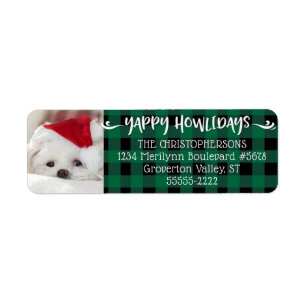 Green Buffalo Check YAPPY HOWLIDAYS Photo Chien