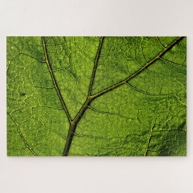 Green Butterbur Leaf  Jigsaw Puzzle (Horizontal)